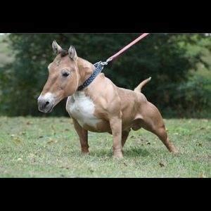 Meet your Posher, Cristian